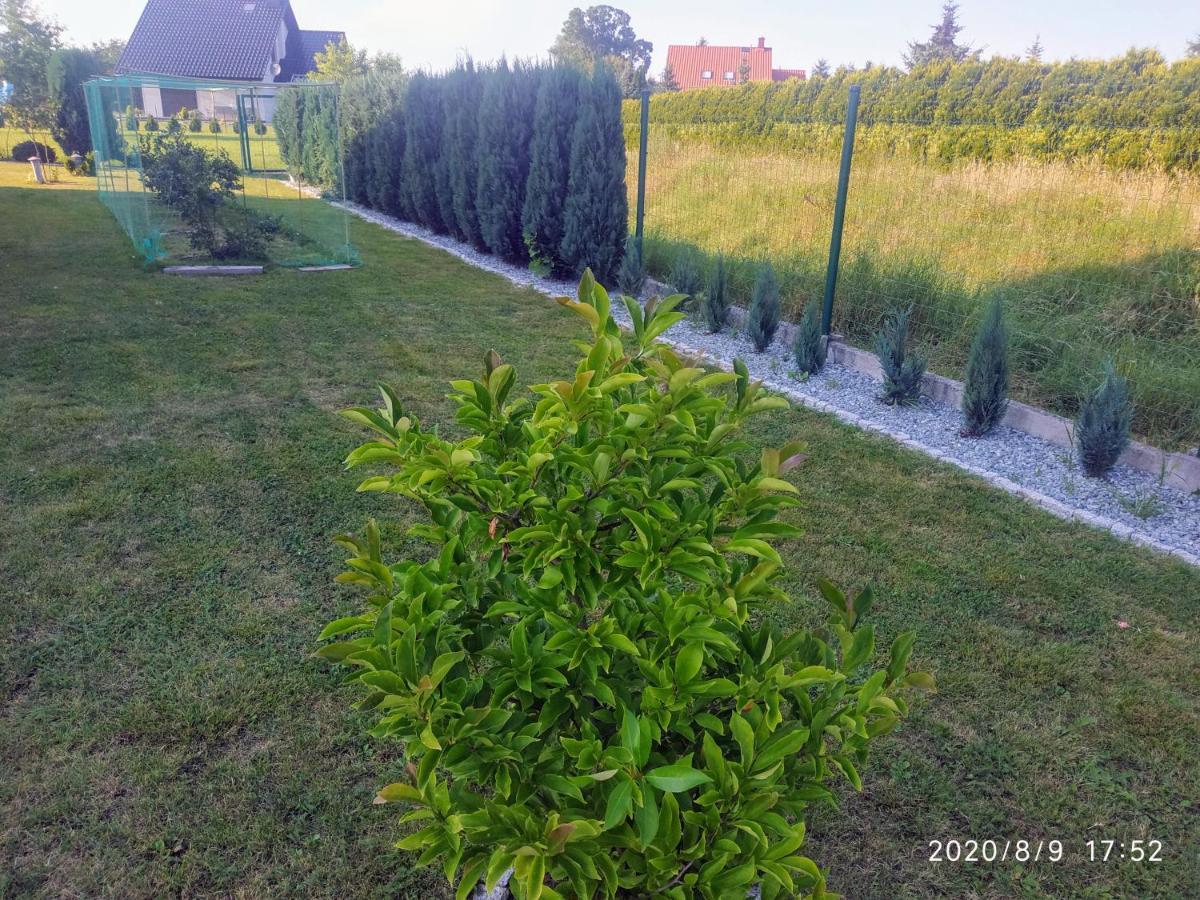 Gorskie Marzenie Przeciszow エクステリア 写真